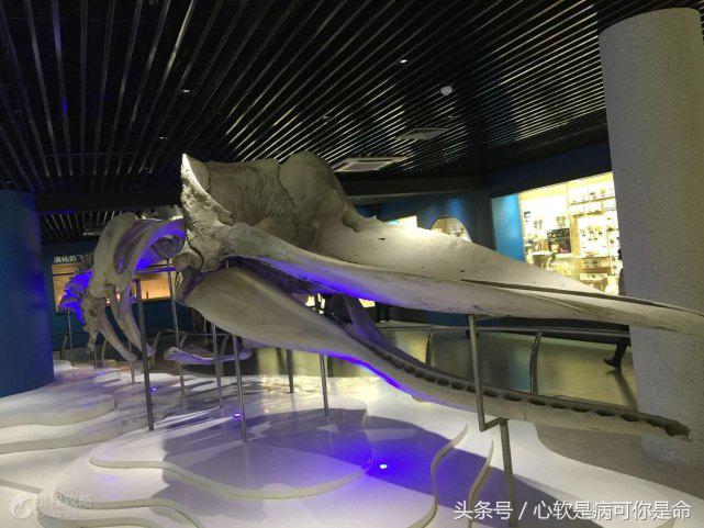 国内合适孩子去的主题乐园,国内好玩的主题乐园有哪些