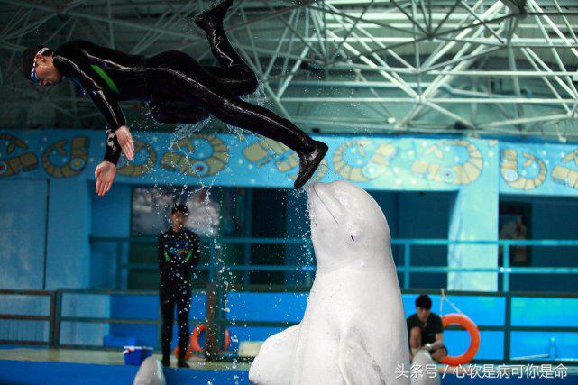 国内合适孩子去的主题乐园,国内好玩的主题乐园有哪些