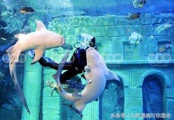 国内合适孩子去的主题乐园,国内好玩的主题乐园有哪些