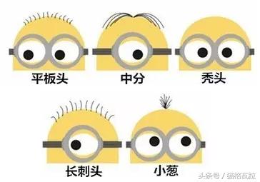 ta能够萌你一脸血不偿命，也有着你不知道的十个秘密