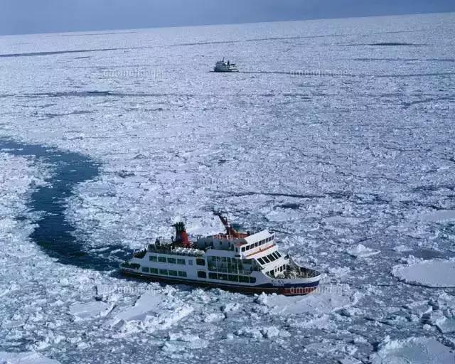 令人惊叹的日本,带你看看最真实的日本