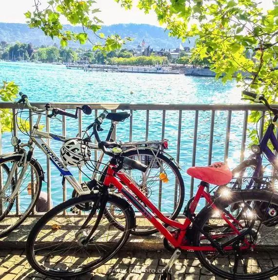 各国入境携带物品规定,海关禁止携带出入境的物品