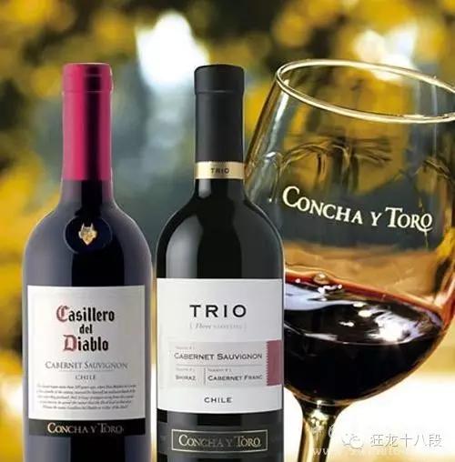 干红葡萄酒十大品牌排名,世界十大葡萄酒品牌
