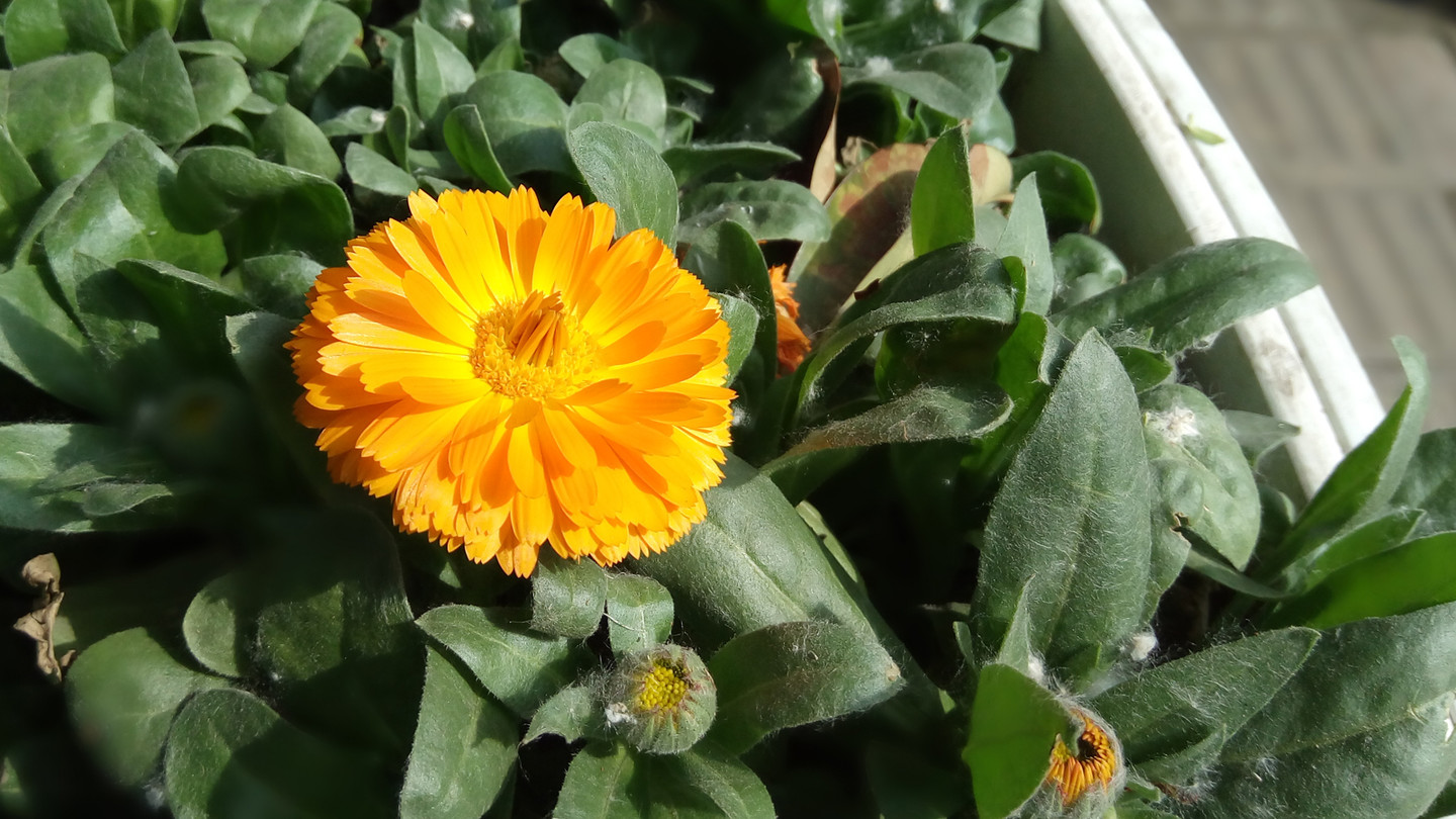 泉城诗画——360手机f4相机体验