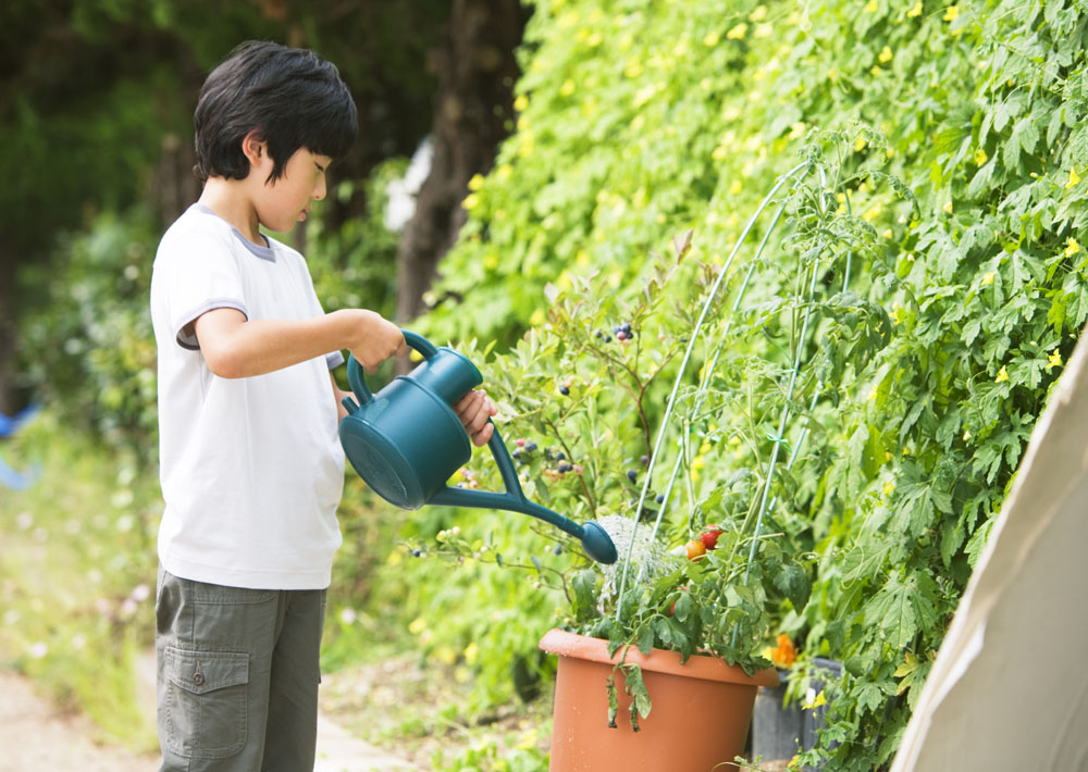 生活废水中含有什么,生活废水浇花好吗