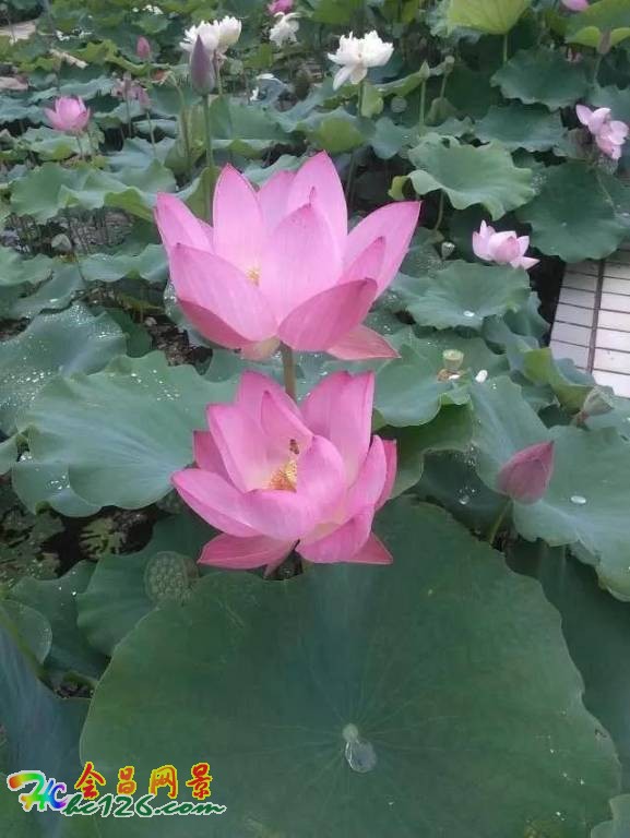 会昌富城瀑布路线,会昌美景画