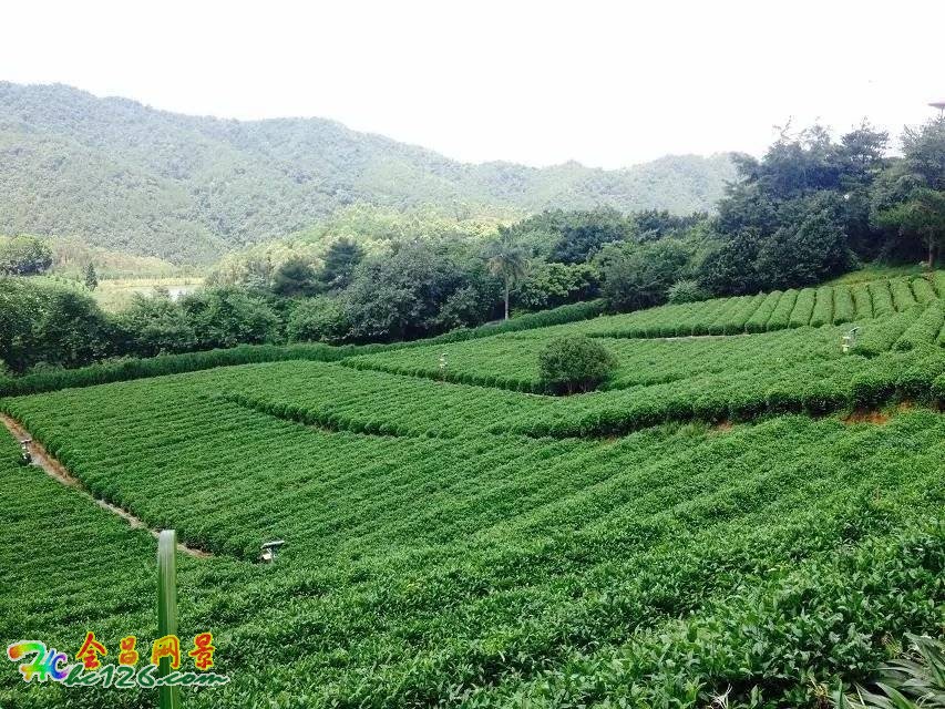 会昌富城瀑布路线,会昌美景画