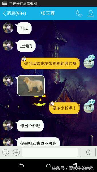 大家网上买狗被骗过吗,网上买狗遭遇套路怎么办