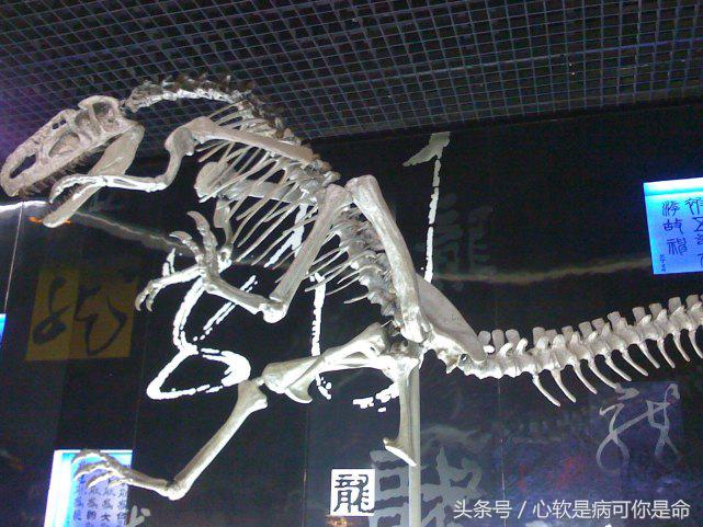 国内合适孩子去的主题乐园,国内好玩的主题乐园有哪些