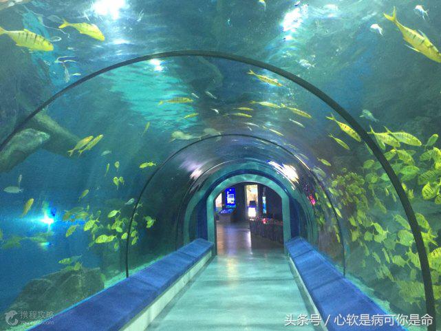 国内合适孩子去的主题乐园,国内好玩的主题乐园有哪些