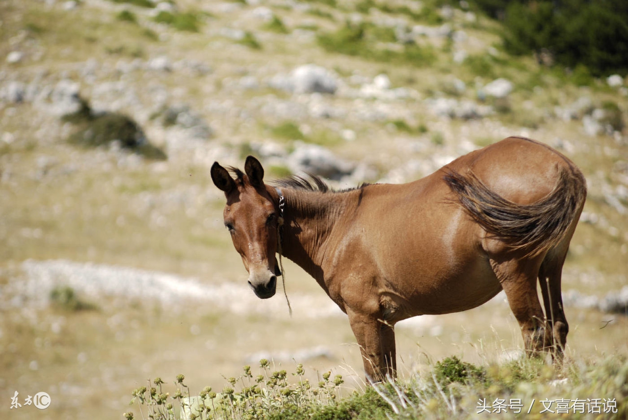 达尔文进化论很多现象解释不通,达尔文进化论是最大的伪科学吗