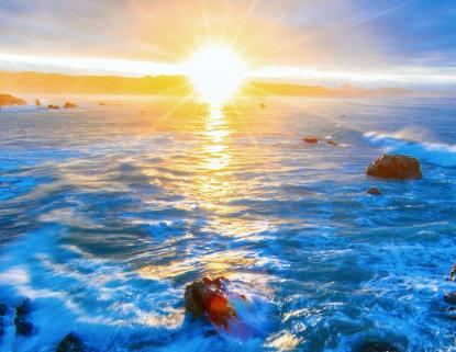 这5大生肖的人胖一点更有财气,给一个人带来财运的三大生肖