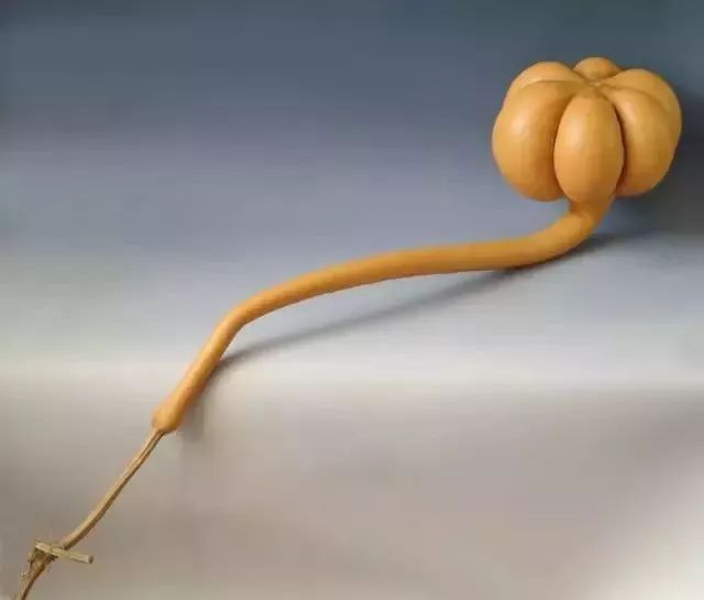 如意葫芦是什么样的,如意葫芦的视频