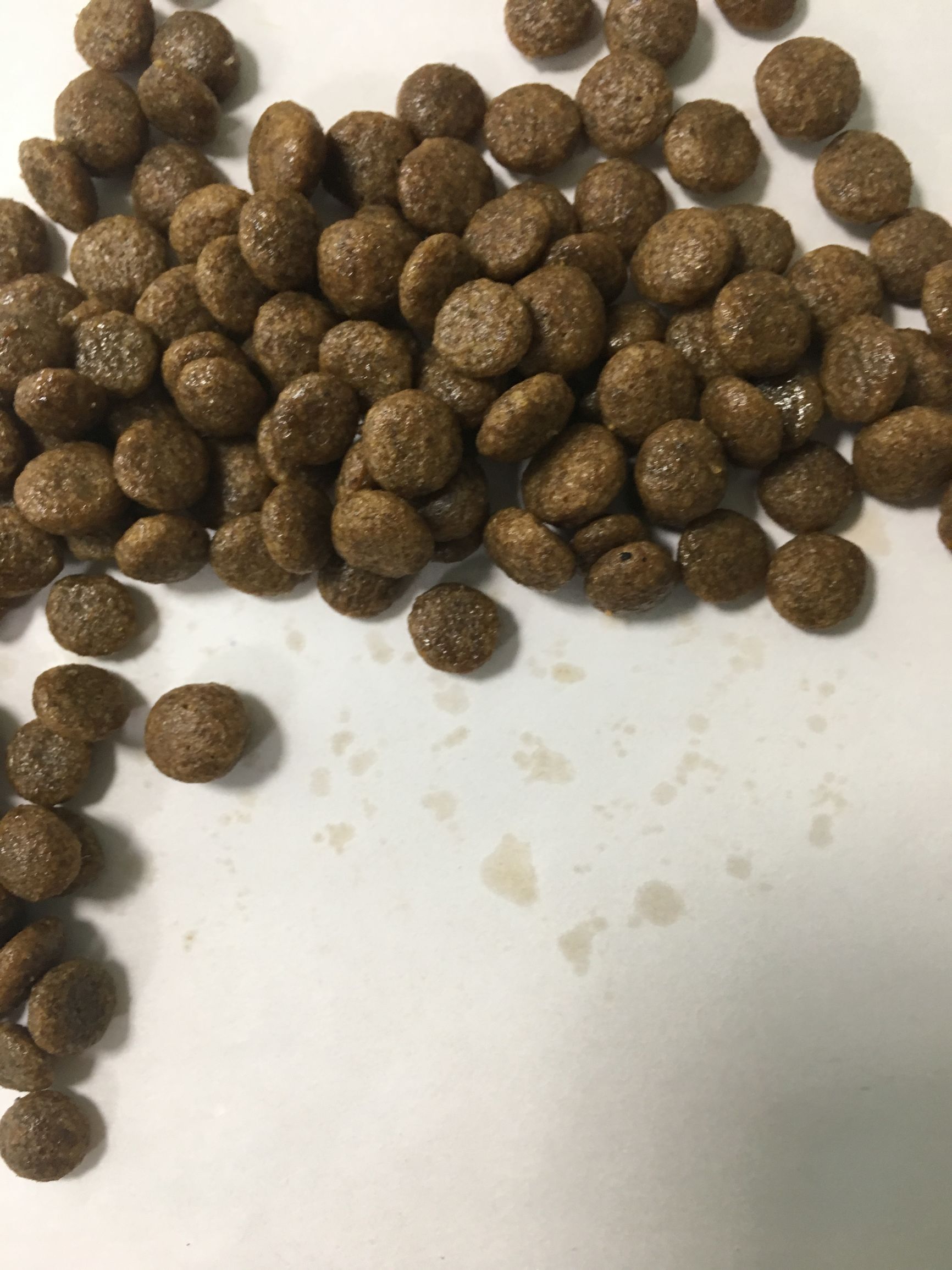 狗粮怎么选进口国产狗粮测评,进口国产狗粮测评