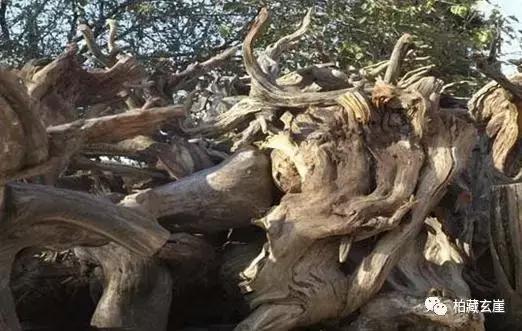奇形怪状树头根雕摆件雕刻视频,树根变艺术品