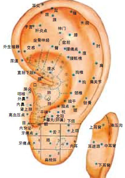 骨折扭伤的处理步骤,讲解骨折扭伤要怎么调养