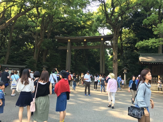 明治神宫参观,明治神宫和哪些景点一起游览好玩