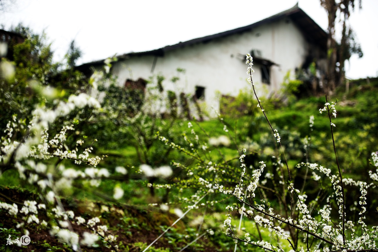 清水县地震局在哪,地震局属于部委吗