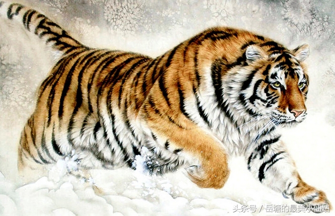 生肖属虎的人和什么生肖最般配,生肖虎合适和哪些生肖配对