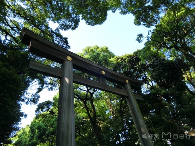 明治神宫参观,明治神宫和哪些景点一起游览好玩