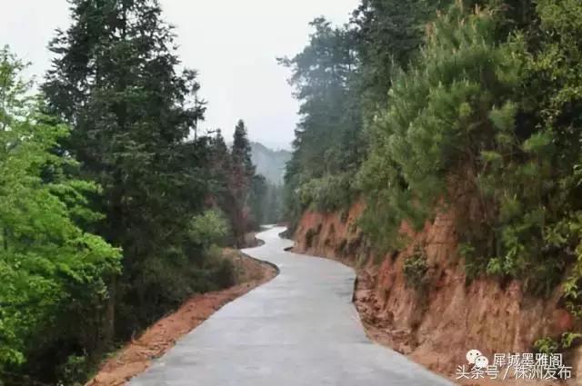 火田大英村,茶陵火田大英村