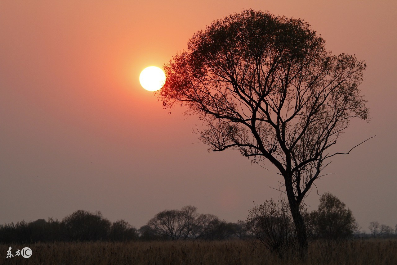 小学语文知识点归纳关联词的功能,小学语文最全关联词用法重点讲解