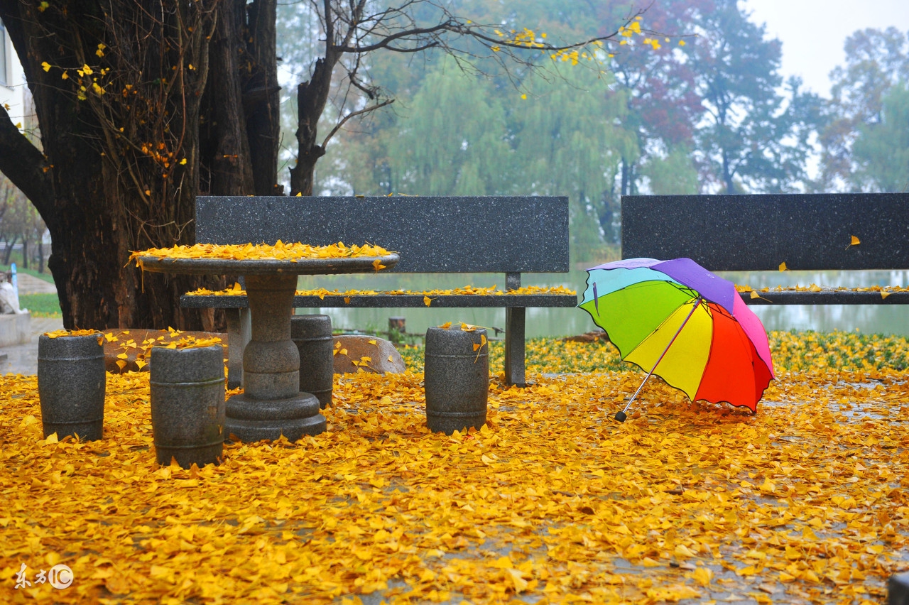 小学语文知识点归纳关联词的功能,小学语文最全关联词用法重点讲解