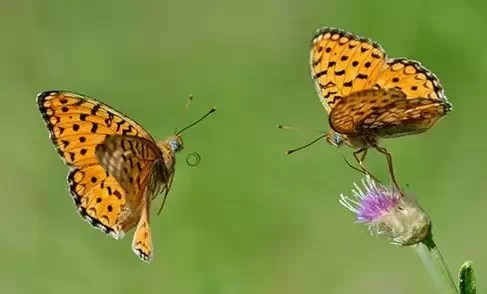 2022年冷知识大全,2020年的冷知识大全