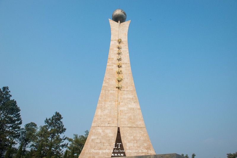 这里铁树开花是家常便饭，还有穿白色V领服的贪吃黑熊