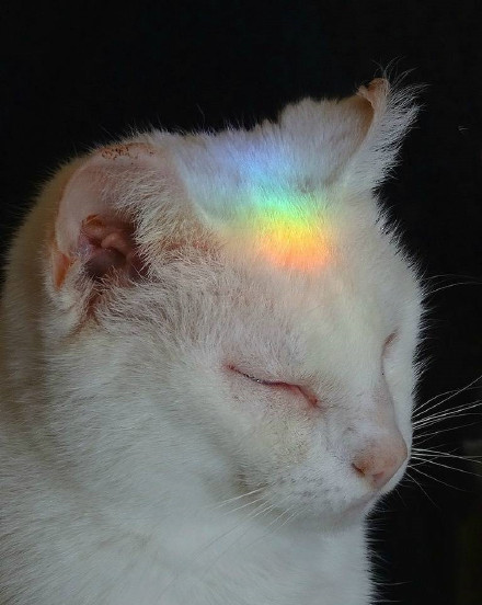 关于搭配潮流的ins,ins穿搭最近流行