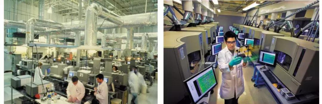 基因重组能够产生新物种吗,基因重组会产生新的基因吗