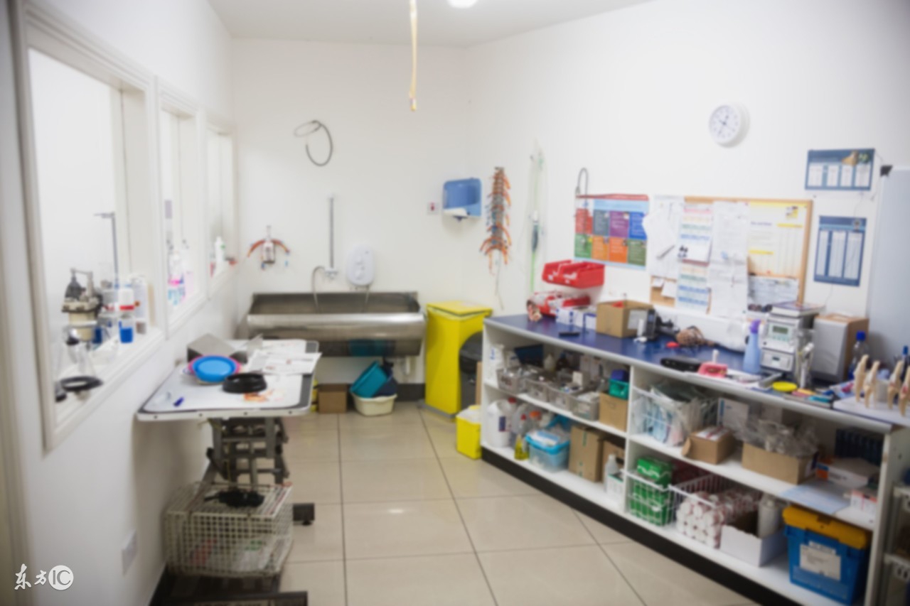 说你宁愿为我留下来完全版,说你宁愿为我留下来小说