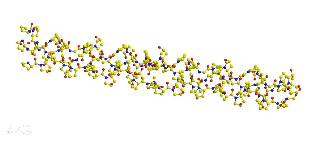 关于人体骨骼疏松吃什么最好,骨质疏松的症状及相关的健康教育