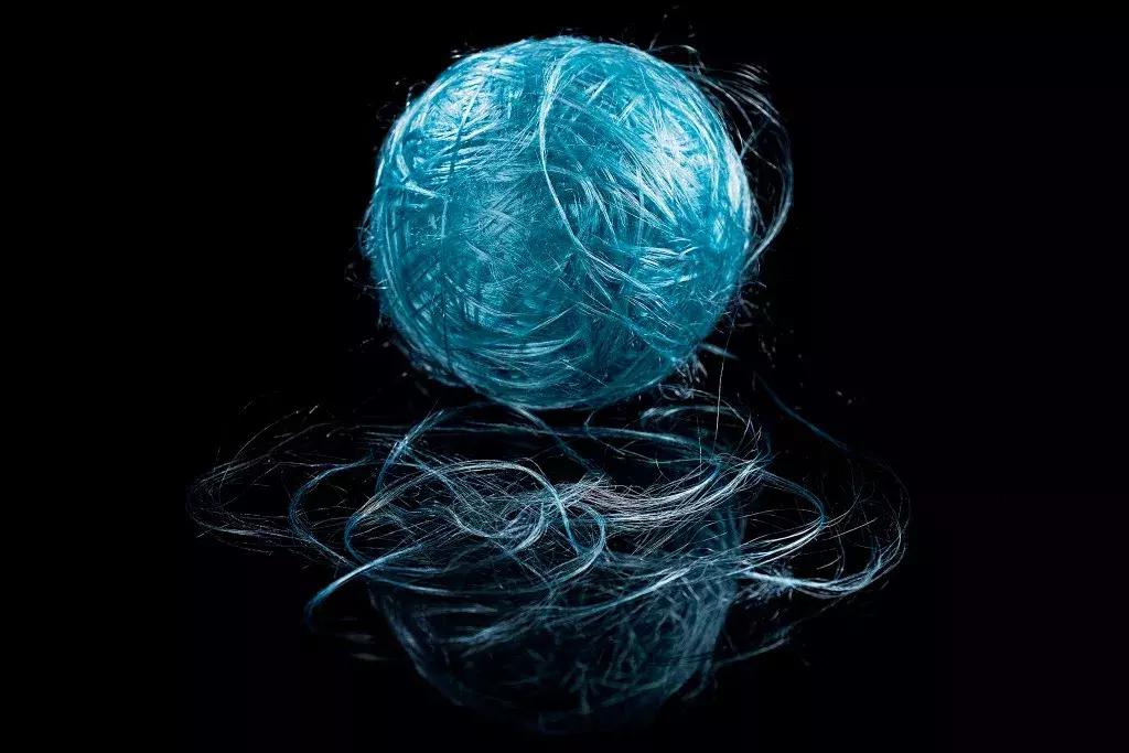 基因重组能够产生新物种吗,基因重组会产生新的基因吗