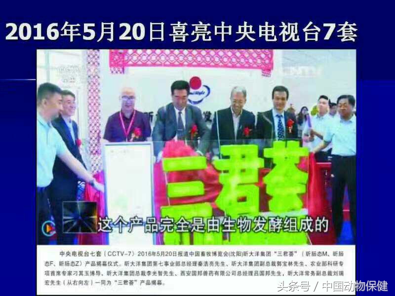 冬季养猪需要注意什么,养猪冬季呼吸道疾病如何预防