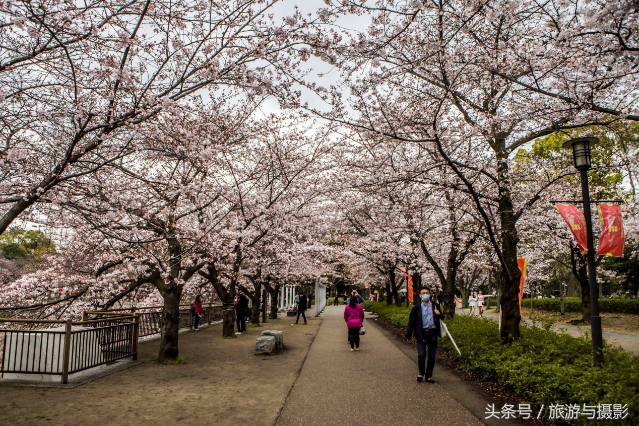 布拉格走马观城,走马观城林茨茨