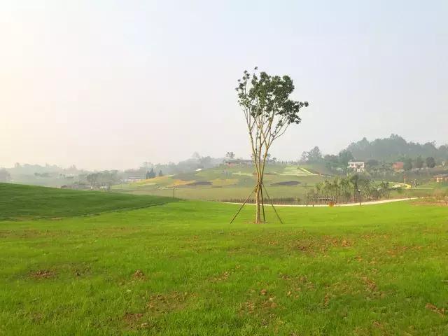 川南大草原有什么玩的,川南大草原什么时候好玩