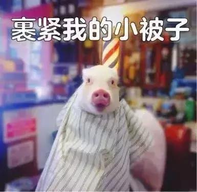 合适干皮肤的隔离霜推荐平价,隔离霜推荐遮瑕底妆