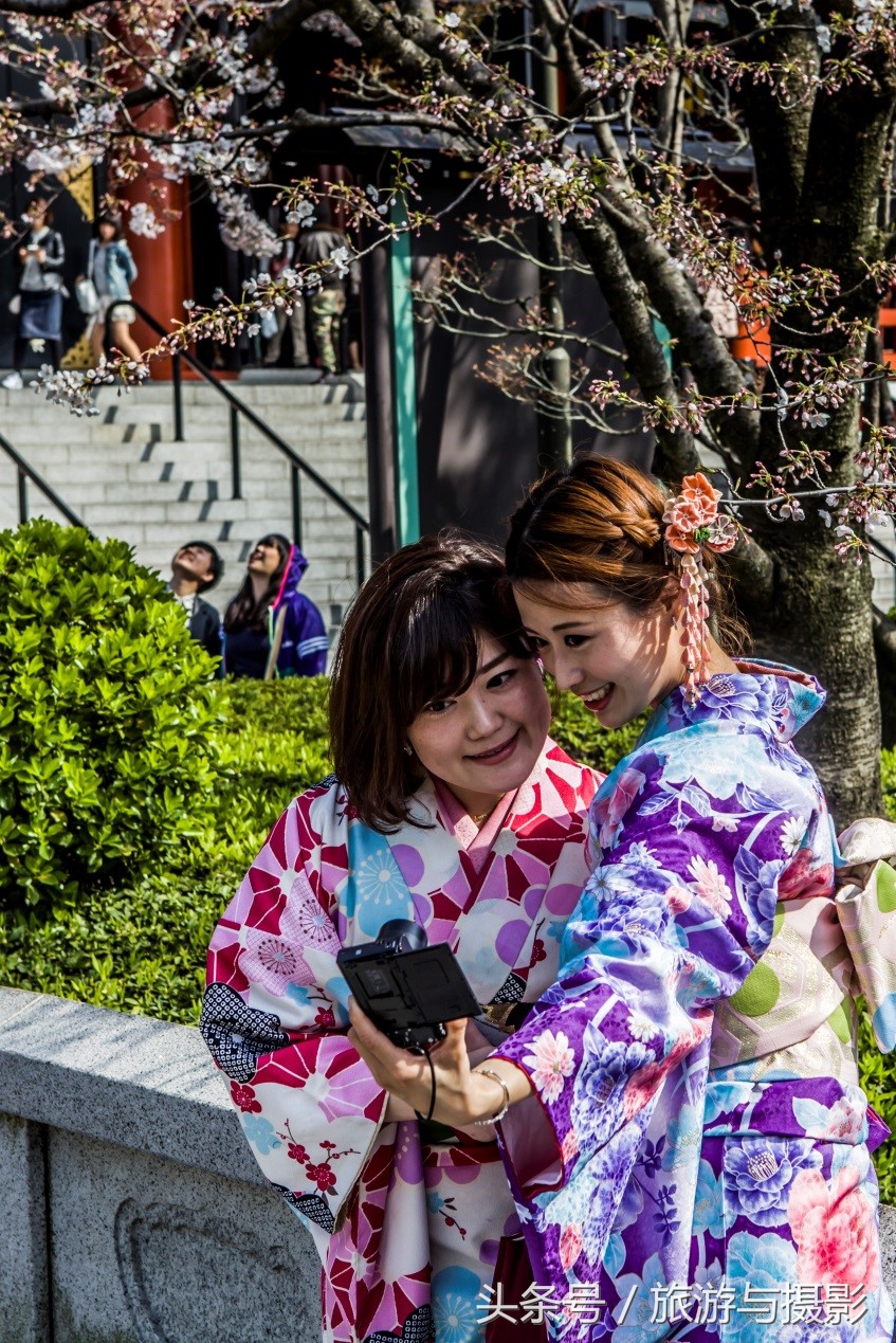 布拉格走马观城,走马观城林茨茨