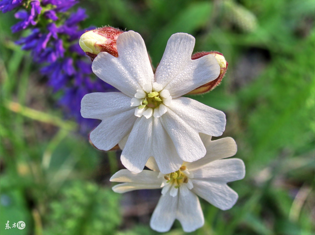 活法第3章：善良而不脆弱,顺从而不失英勇