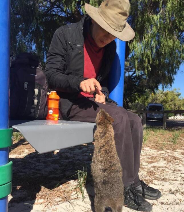 华人故事No.9｜远嫁澳洲，这里没有诗和远方