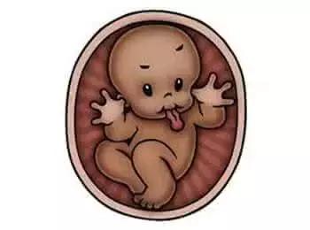 不用做B超也能知道：胎儿的头在哪，脚在哪！