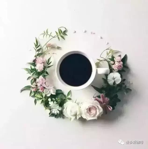 治愈系鲜花,最强治愈系