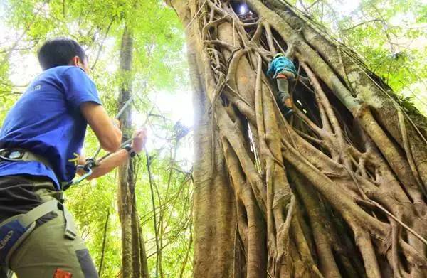火线狂欢值得买吗,火线狂欢节游戏视频