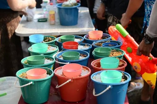 火线狂欢值得买吗,火线狂欢节游戏视频