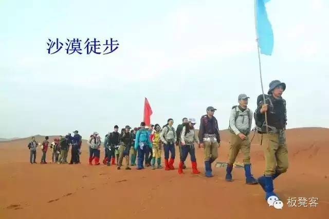 金姐吐槽一针见血,金姐一针见血完全视频