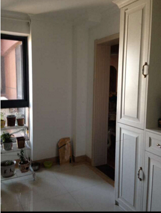 农村平房欧式土豪装修,欧式简约装修实拍