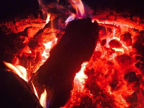 金丝楠的历史及故事,金丝楠阴沉木阳气