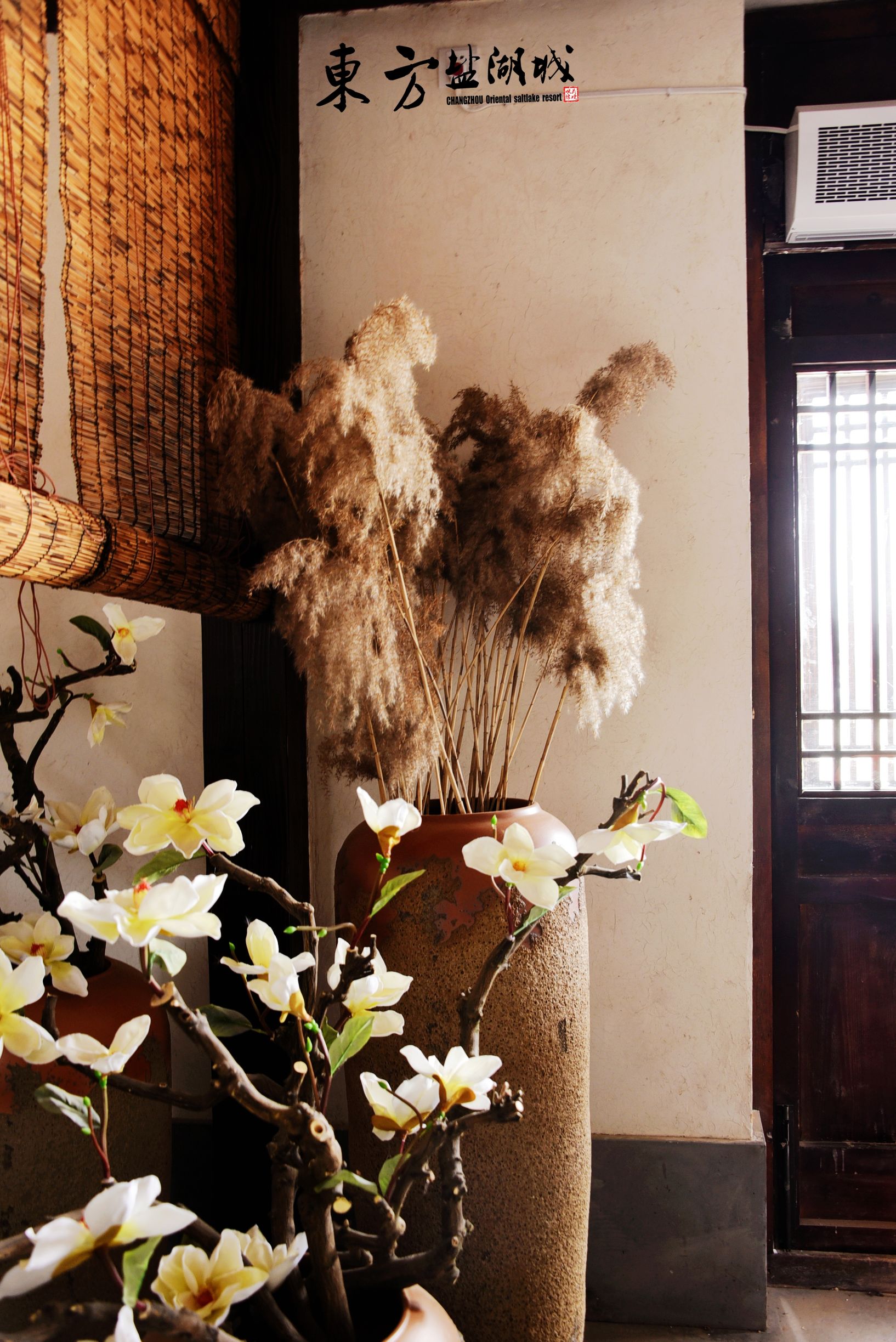 梦入桃花源现代版,梦入桃花源完全版