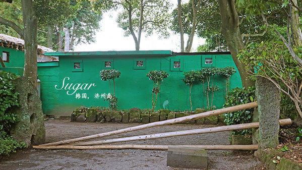 一生最值得去的岛,一辈子必须去一次的岛